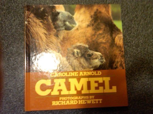 Camel (Hardcover)