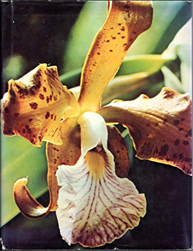 Orchids and How to Grow Them (Hardcover)