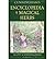 Encyclopaedia of Magical Herbs by Scott Cunningham