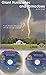 Giant Hurricanes and Tornad...