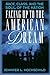 Facing Up to the American Dream by Hochschild, Jennifer L.(Au... by Jennifer L. Hochschild