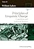 [Principles of Linguistic Change: Cognitive and Cultural Factors (Language in Society): 3] [Author: Labov, William] [October, 2010]