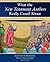 What the New Testament Authors Really Cared About A Survey of Their Writings by Kregel Academic & Professional,2008] (Paperback)