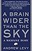 A Brain Wider Than the Sky: A Migraine Diary by Levy, Andrew (May 11, 2010) Paperback