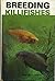 Breeding Killifishes