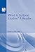What is Cultural Studies?: A Reader (The 'What Is?' Research Methods Series) 1st (first) Edition by Storey, John published by Bloomsbury Academic (1996)