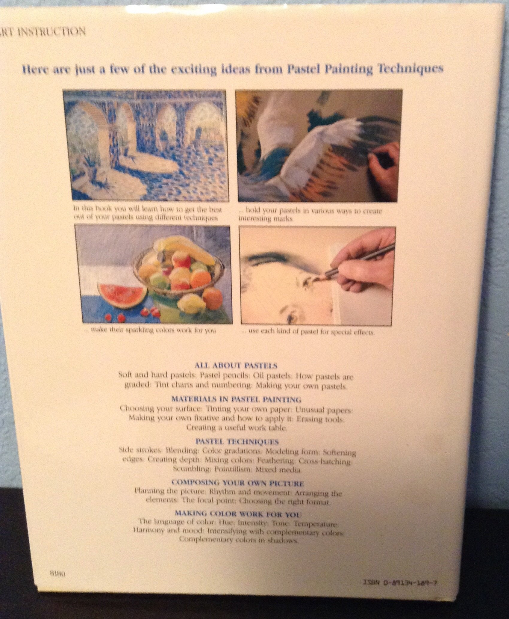 Pastel Painting Techniques (Hardcover)