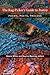The Rag-Picker's Guide to Poetry: Poems, Poets, Process (2013-11-11)