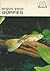 Enjoy Your Fancy Guppies