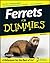 Ferrets For Dummies by Kim Schilling (2007-10-08)