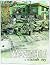 Ramshackle: A Yellowknife Story by Alison McCreesh (2015-11-15)
