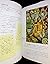 Matisse - painter of lines and shapes (to explore the secrets... by Yolande Baillet