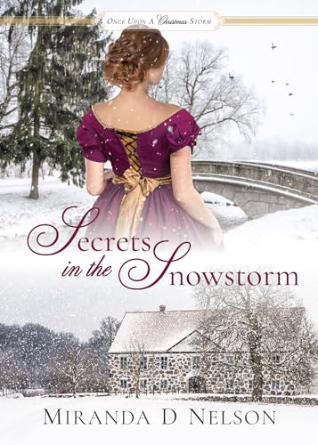Secrets in the Snowstorm (Kindle Edition)