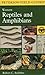 A Field Guide to Western Reptiles and Amphibians: Field marks of all species in western North America, including Baja California (Peterson Field Guides(R)) by Robert C. Stebbins (1998-09-15)