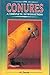 Conures: A Complete Introduction