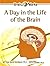 A Day in the Life of the Brain (Brain Works) by Ana Maria Rodriguez (2006-10-01)