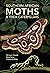 Southern African Moths & their Caterpillars by Hermann Staude
