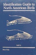 Identification Guide to North American Birds. Part II: Anatidae to Alcidae (Paperback)