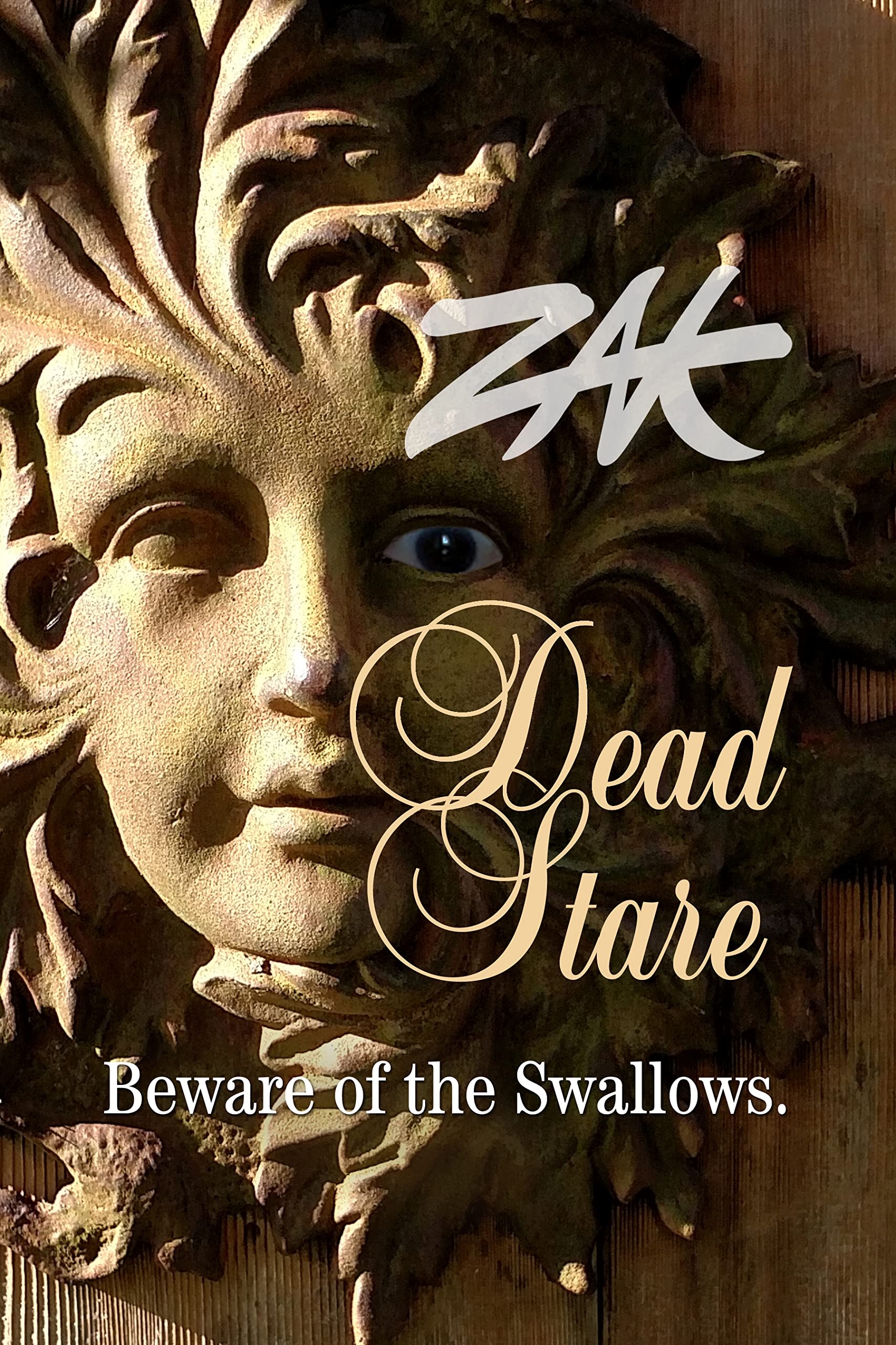 Dead Stare (Kindle Edition)