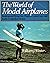 The World of Model Airplanes