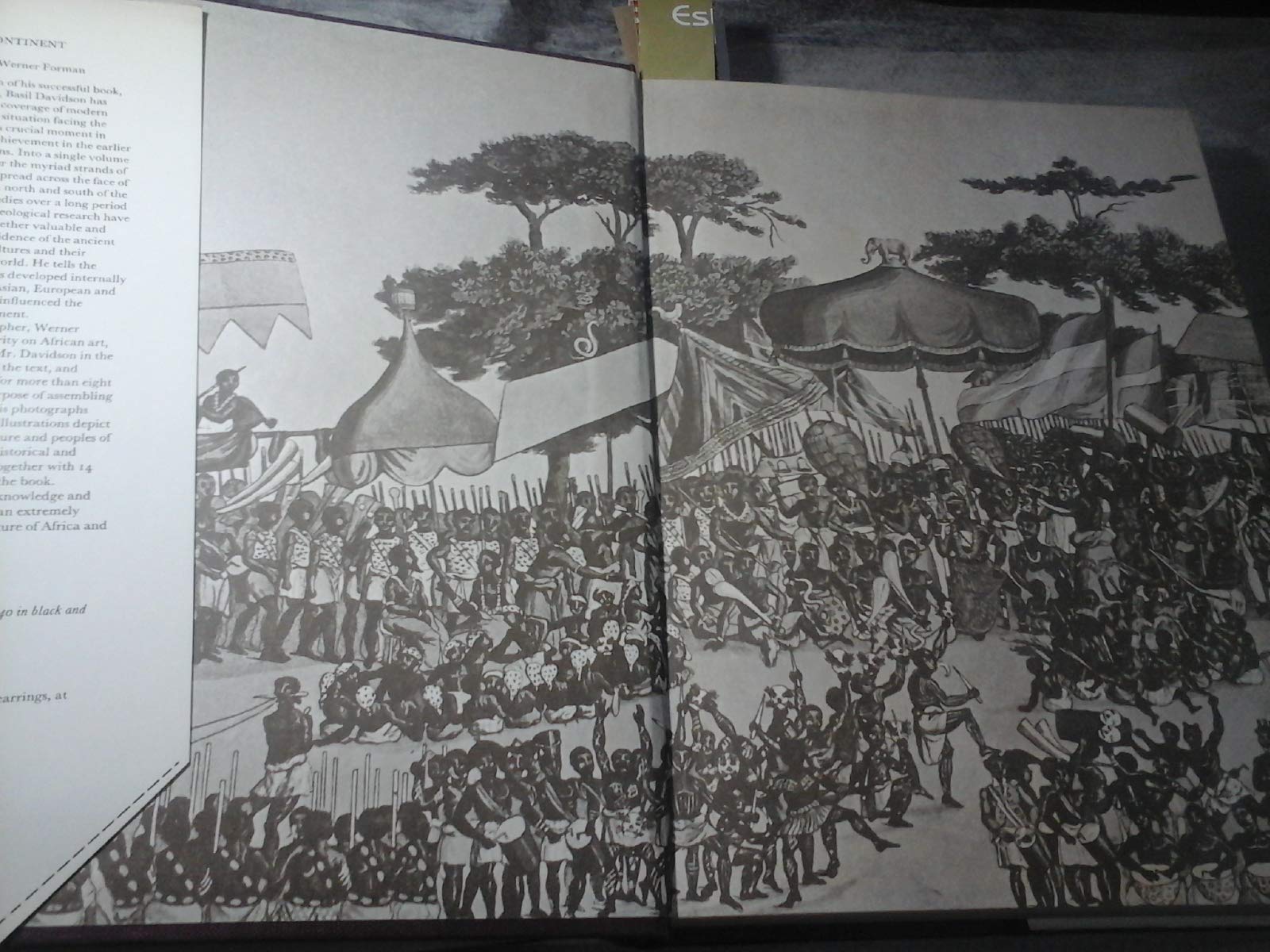 Africa: History of a Continent (Hardcover)