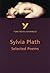 York Notes on Sylvia Plath'...