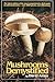 Mushrooms Demystified [MUSHROOMS DEMYSTIFIED 2/E] [Paperback]