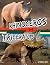 Rhinoceros vs. Triceratops