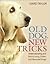 Old Dog, New Tricks: Understanding and Retraining Older and Rescued Dogs by David Taylor