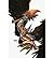[(Savage Hawkman: Darkness ...