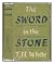 The Sword in the Stone / by T. H. White