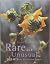 Rare & Unusual Plants for N...