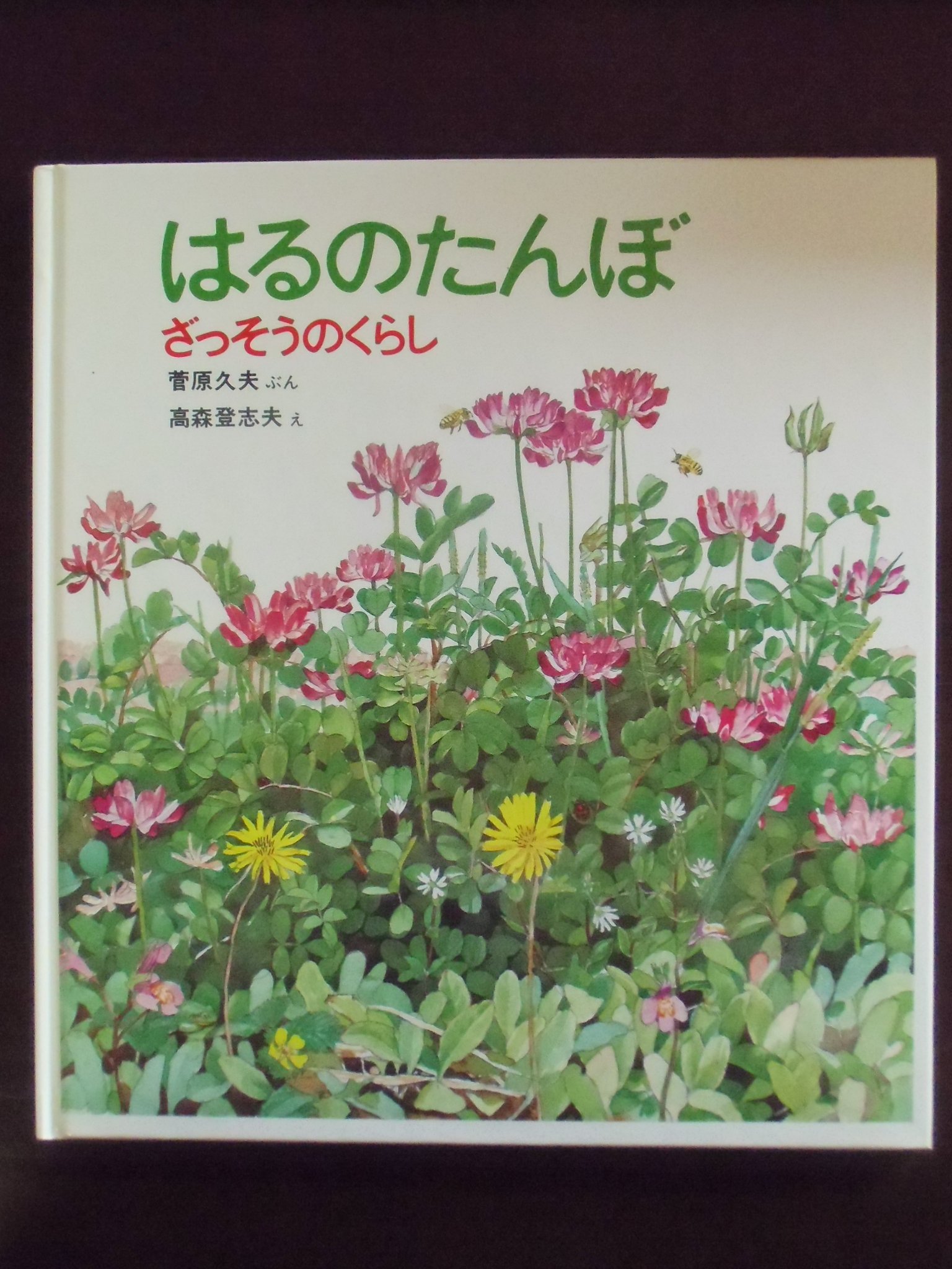 はるのたんぼ―ざっそうのくらし (かがくのとも傑作集)