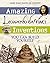 Amazing Leonardo da Vinci Inventions: You Can Build Yourself (Build It Yourself) by Maxine Anderson(2006-01-01)