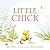 Little Chick by Amy Hest (2009-02-24)