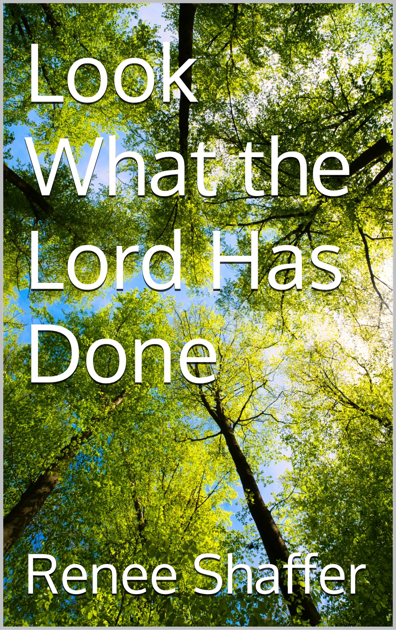 Look What the Lord Has Done (Kindle Edition)