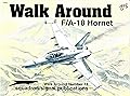 F/A-18 Hornet - Walk Around No. 18
