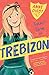 Tennis Term at Trebizon (The Trebizon Series) by Anne Digby by Unknown Author
