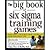 The Big Book of Six Sigma Training Games: Proven Ways to Teach Basic DMAIC Principles and Quality Improvement Tools by Chen, Chris, Roth, Hadley [McGraw-Hill, 2004] (Paperback) [Paperback]