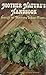 Mother Nature's Handbook Secrets for Thriving Indoor Plants