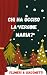 CHI HA UCCISO LA VERGINE MARIA