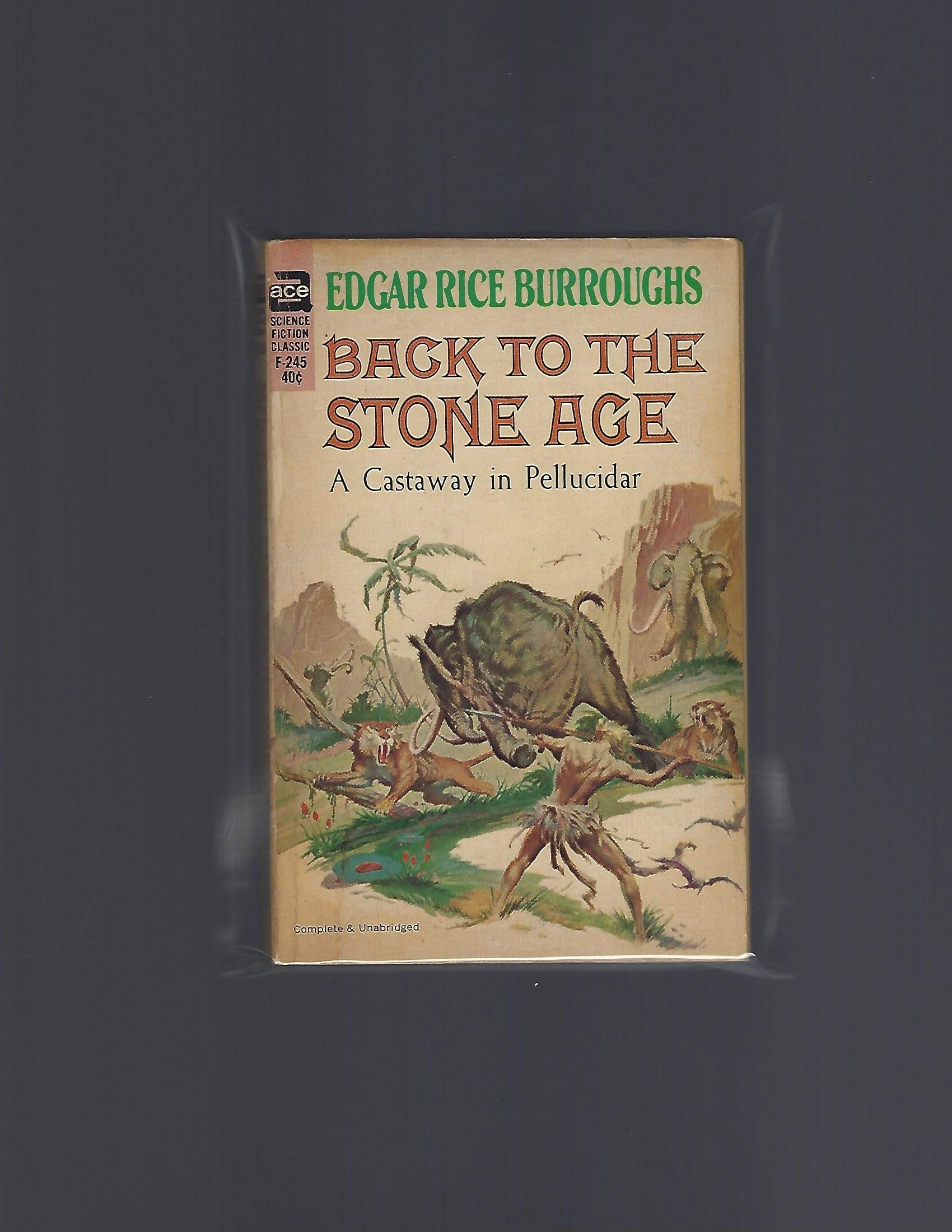 Back to the Stone Age