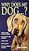 Why Does My Dog . . . ? (Why Does My . . . ? series) by John Fisher (1999-04-01)