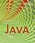 Programming and Problem Solving With Java 2nd (second) edition Text Only