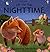 Nighttime (Luxury Lift-The-Flap Learners) by Alastair Smith (2005-07-06)