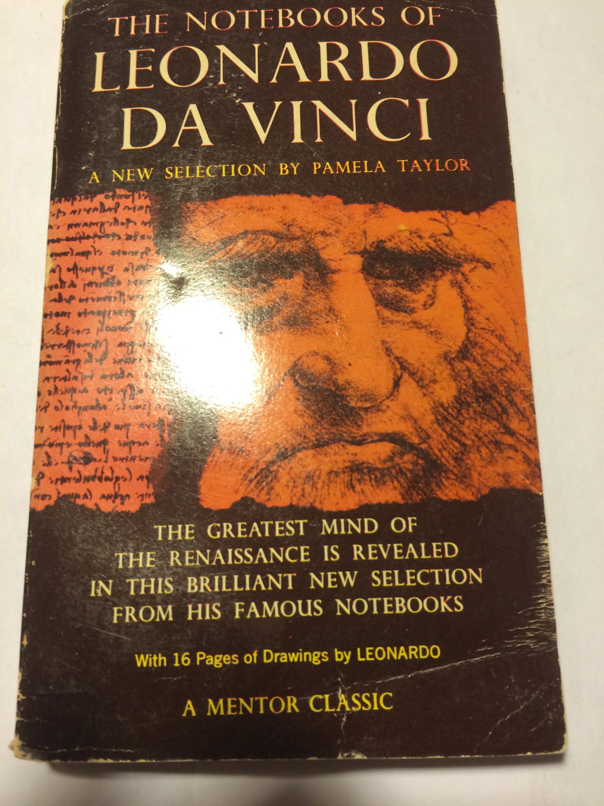The Notebooks of Leonardo Da Vinci