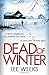 Dead of Winter (Dc Ebony Wi...