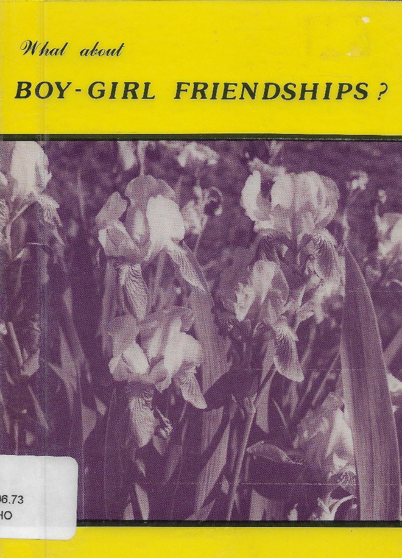 What about Boy-Girl Friendships? (Paperback)