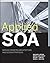Applied SOA: Service-Oriented Architecture and Design Strategies by Michael Rosen (2008-06-16)