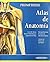 Anatomia con orientacion clinica / Clinically Oriented Anatomy (Spanish Edition) by Keith L. Moore (2009-01-30)